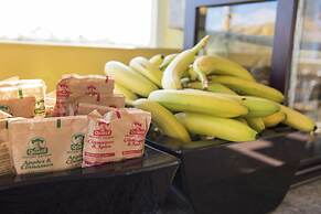 Sunshine Suites Resort