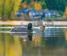 Las Balsas Relais & Chateaux