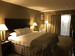 Wyndham Garden Ann Arbor