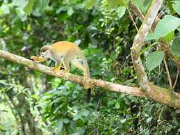 Best Western Hotel & Casino Kamuk