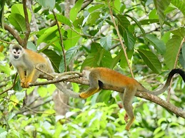 Best Western Hotel & Casino Kamuk