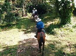 Best Western Hotel & Casino Kamuk