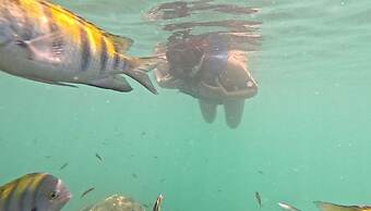 Best Western Hotel & Casino Kamuk