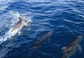 Best Western Hotel & Casino Kamuk