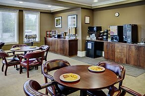Lakeview Inns & Suites - Edson Airport