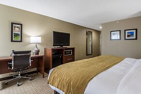 Comfort Inn N Myrtle Beach Barefoot Landing