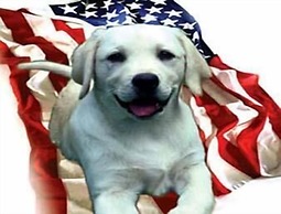 Motel 6 Wilsonville, OR - Portland