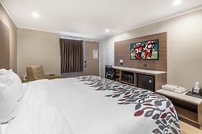 Red Roof Inn Raleigh Northeast - Downtown