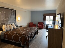 Super 8 by Wyndham Clemmons/Bermuda Run/Winston-Salem I-40