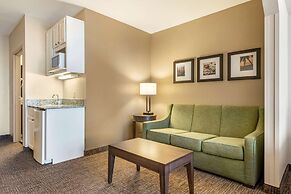 Comfort Suites Maingate East