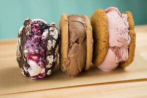 The Coral at Atlantis