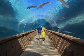 The Coral at Atlantis