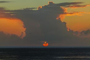 Coral Princess Hotel & Dive Resort