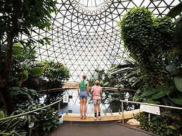 Cosmo Apartment Hotel