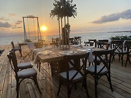 Friendly Fun Vallarta Different Experiences