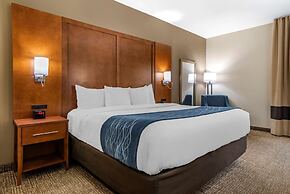 Comfort Inn Birmingham - Irondale