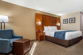 Comfort Inn Birmingham - Irondale