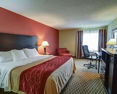 Quality Inn & Suites Pine Bluff