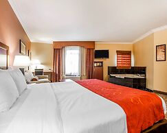Comfort Suites Oceanside Camp Pendleton Area