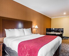 Comfort Suites Oceanside Camp Pendleton Area