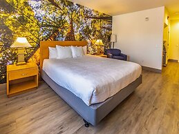 Comfort Inn Hanford Lemoore