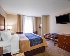 Comfort Inn & Suites Deadwood