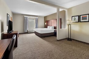 Comfort Suites At Rivergate Mall