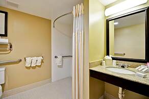 Hilton Garden Inn Tampa North Busch Gardens