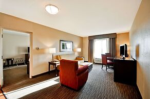 Hilton Garden Inn Tampa North Busch Gardens