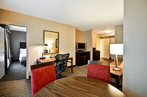 Hilton Garden Inn Tampa North Busch Gardens