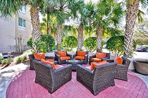 Hilton Garden Inn Tampa North Busch Gardens