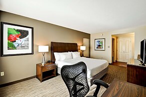 Hilton Garden Inn Tampa North Busch Gardens