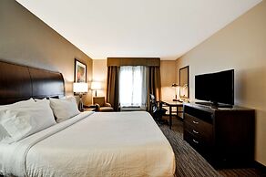 Hilton Garden Inn Tampa North Busch Gardens