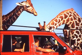 Holiday Inn Express Hotel & Stes Port Clinton-Catawba Island by IHG