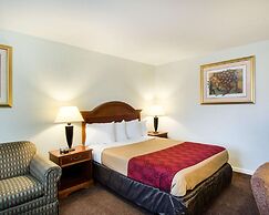 Econo Lodge Inn & Suites