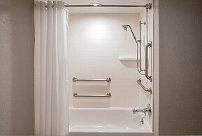 Holiday Inn Express New Orleans Downtown by IHG