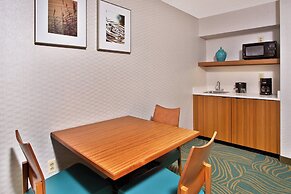 Springhill Suites by Marriott Chicago Elmhurst/Oakbrook Area