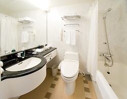 ANA Crowne Plaza Toyama by IHG