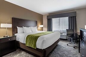 Comfort Inn & Suites Tualatin - Lake Oswego South