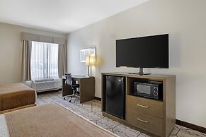 Best Western Plus North Houston Inn & Suites