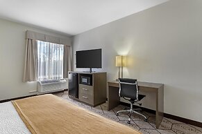 Best Western Plus North Houston Inn & Suites