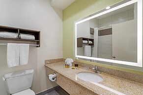 Best Western Plus North Houston Inn & Suites