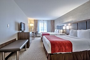 Comfort Inn And Suites South