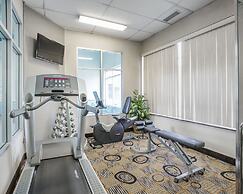 Comfort Inn And Suites South