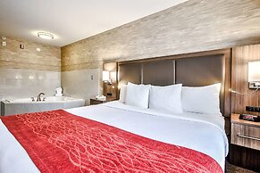 Comfort Inn And Suites South