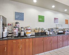 Comfort Inn And Suites South