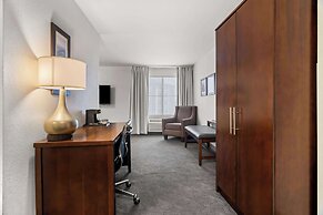 Comfort Inn & Suites near Tinley Park Amphitheater