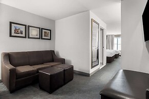 Comfort Inn & Suites near Tinley Park Amphitheater