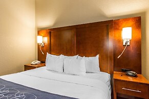 Comfort Suites Mattoon
