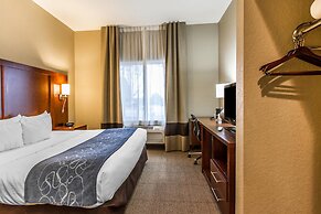 Comfort Suites Mattoon